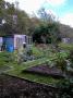 Allotments